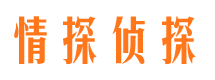 霍邱私家调查